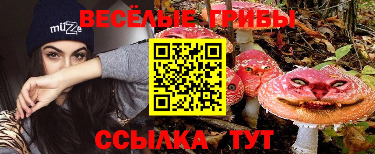 Майкоп  Галлюциногенные грибы GOLDEN TEACHER  Вход с VPN 